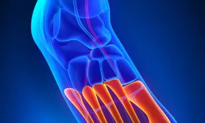 Anatomia stopy: widok 3D kości stępu i śródstopia w kolorach niebieskim i pomarańczowym.