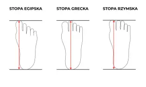 Trzy typy stóp: egipska, grecka i rzymska. Stopa rzymska ma wszystkie palce równej długości.
