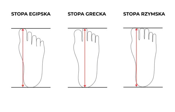 Trzy typy stóp: egipska, grecka i rzymska. Stopa rzymska ma wszystkie palce równej długości.